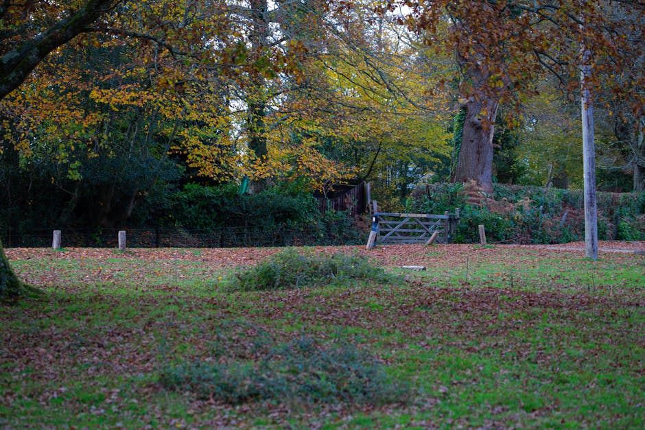 The image depicts a tranquil outdoor scene in a park or garden area surrounded by deciduous trees with autumnal foliage, featuring leaves in shades of orange, yellow, and green. In the foreground, there is a grassy area scattered with fallen leaves, providing a textured, natural ground cover. A small, low shrub is visible near the bottom center, with foliage blending into the leaf-covered ground. Towards the middle and background, a weathered wooden gate and a small fence made of vertical posts and horizontal rails can be seen, partially obscured by dense bushes and undergrowth. To the right, a tall wooden utility pole stands beside a narrow path or clearing. The overall scene appears quiet and undisturbed, with soft, diffuse lighting typical of an overcast day, capturing the essence of a natural setting that might be the site of private waste clearance or garden rubbish disposal activities, supporting the context of rubbish removal services like those provided by Rubbish Clearance Sutton.